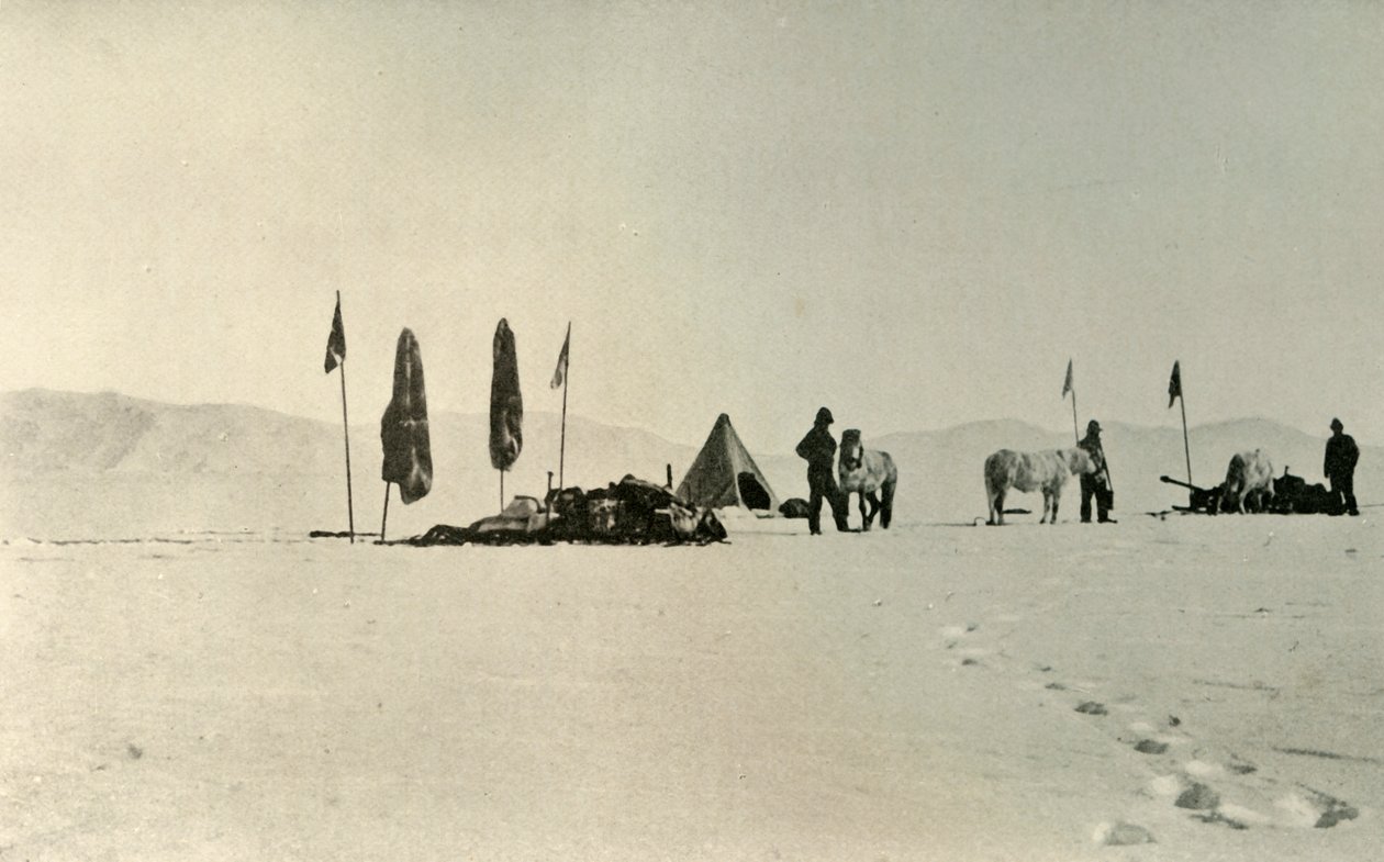 Lejren efter at have passeret den forrige breddegrad længst mod syd, november 1908, 1909 af Unbekannt