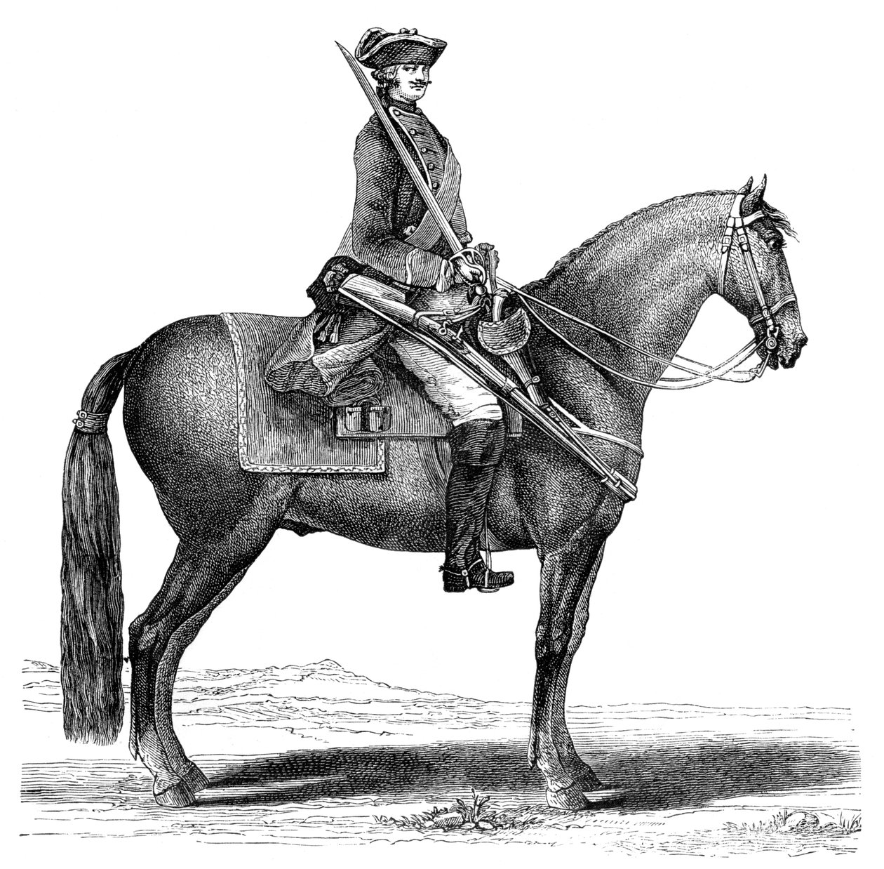 Kavaleren, 1885 af Unbekannt