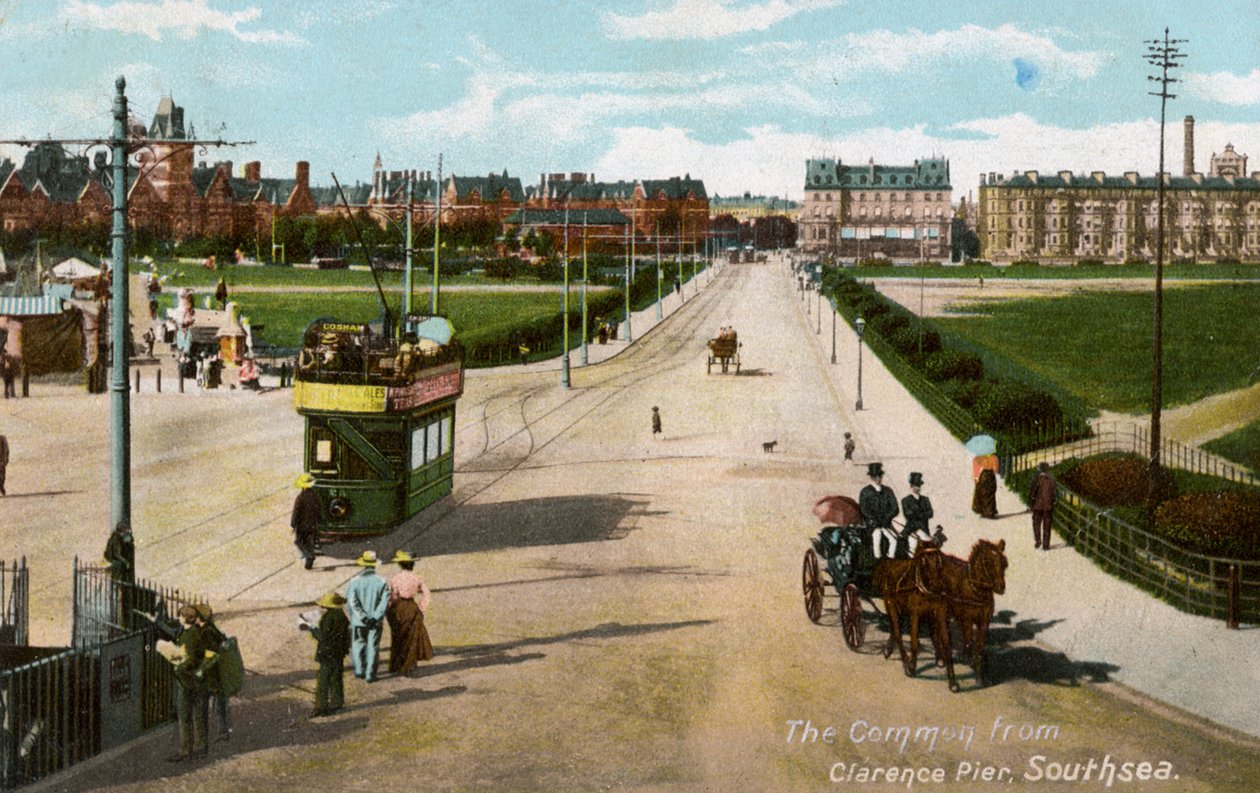 The Common fra Clarence Pier, Southsea, Hampshire, c1904 af Unbekannt
