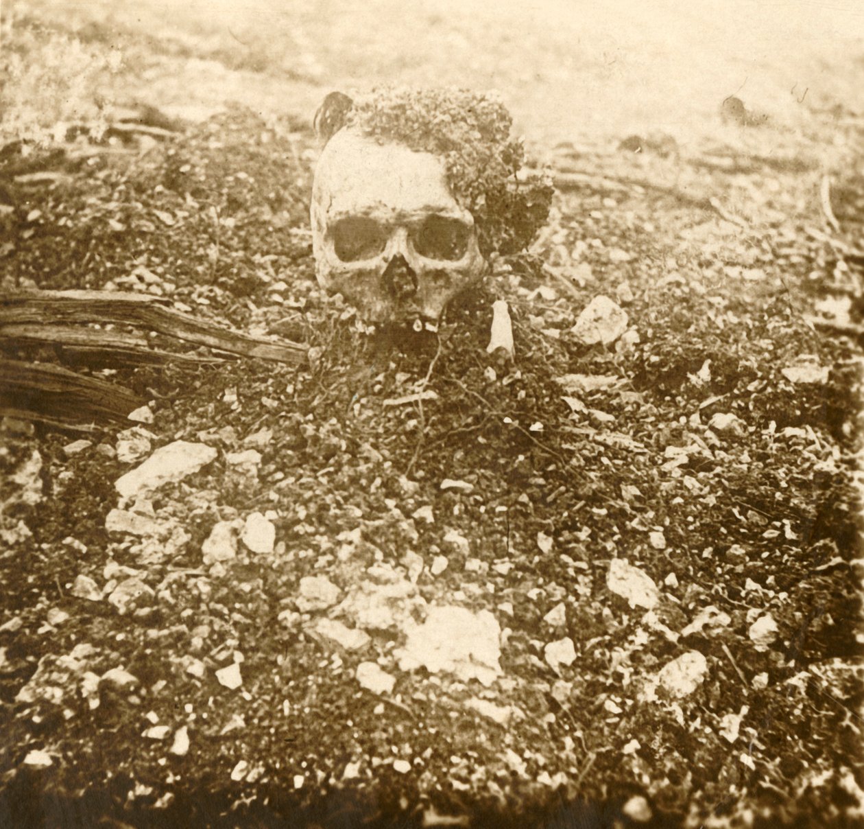 Kronprinsen, Verdun, Nordfrankrig, 1916 af Unbekannt