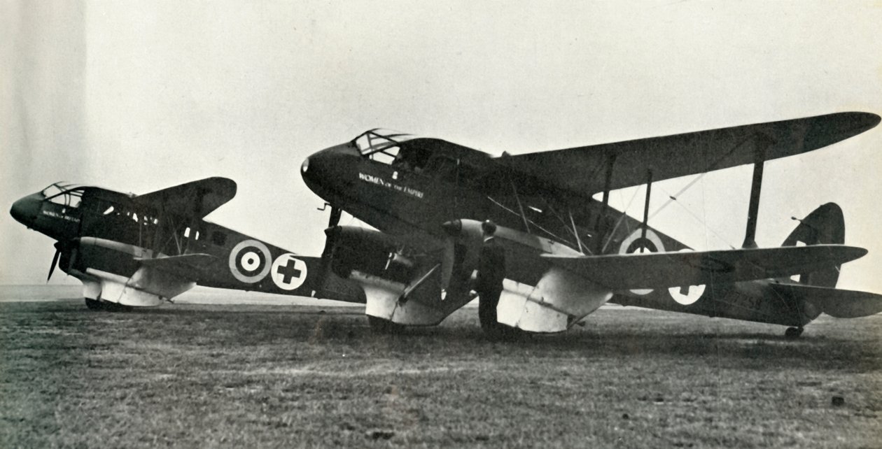 De Havilland Ambulance, 1941. af Unbekannt