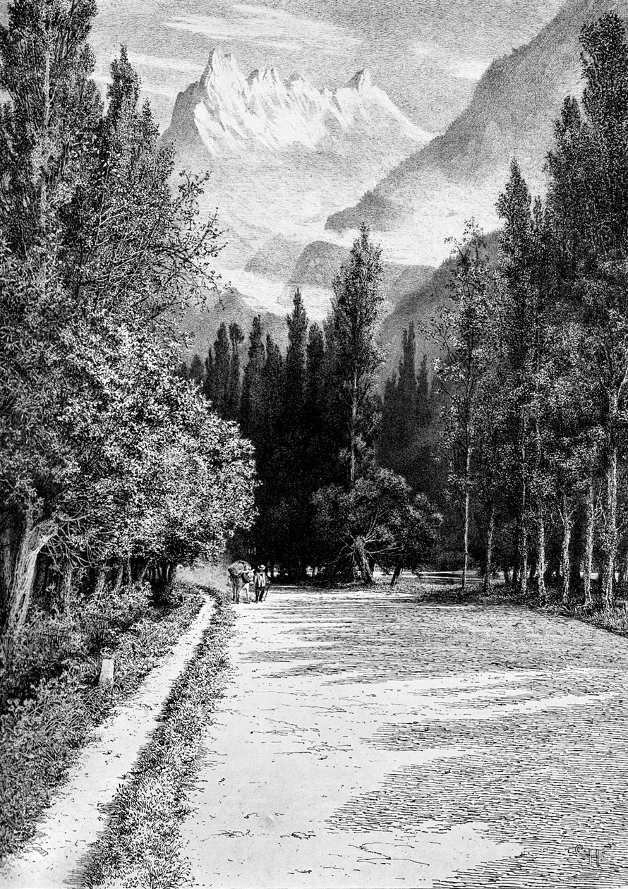 Dent du Midi fra Rhônedalen, 1900 af Unbekannt