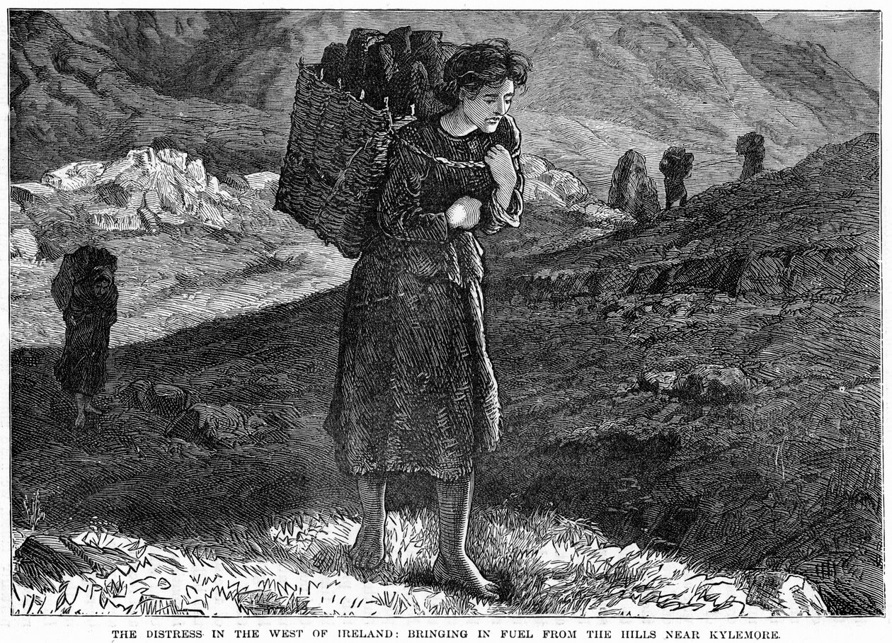 The Distress in the West Ireland: Bringing in Fuel from the Hills near Kylemore, 19th century af Unbekannt