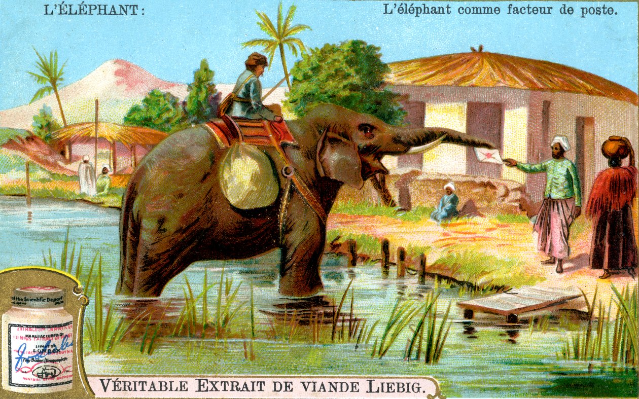 Elefanten som postbud, ca. 1900 af Unbekannt