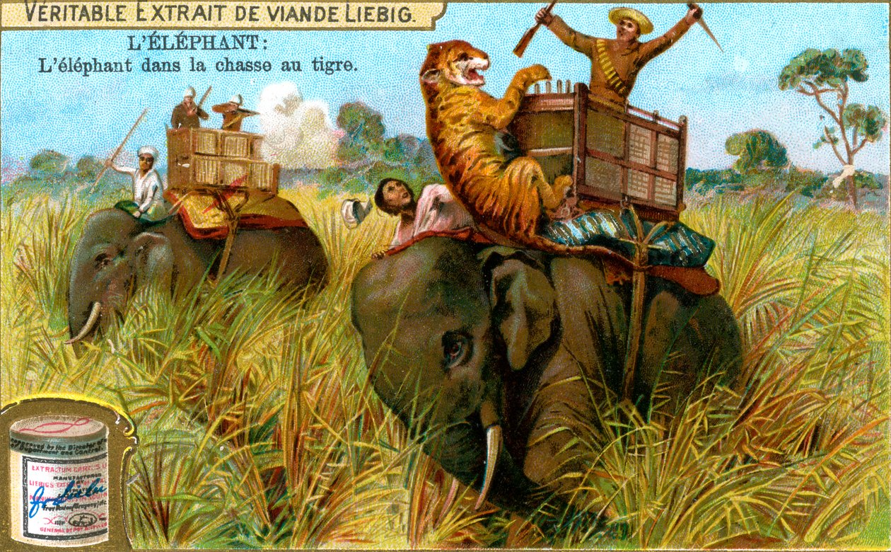 Elefanten på tigerjagt, c1900 af Unbekannt