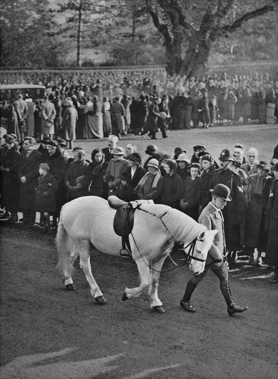 The Empty Saddle: King Georges hvide pony, Jock, bliver ført i procession, 1936 af Unbekannt