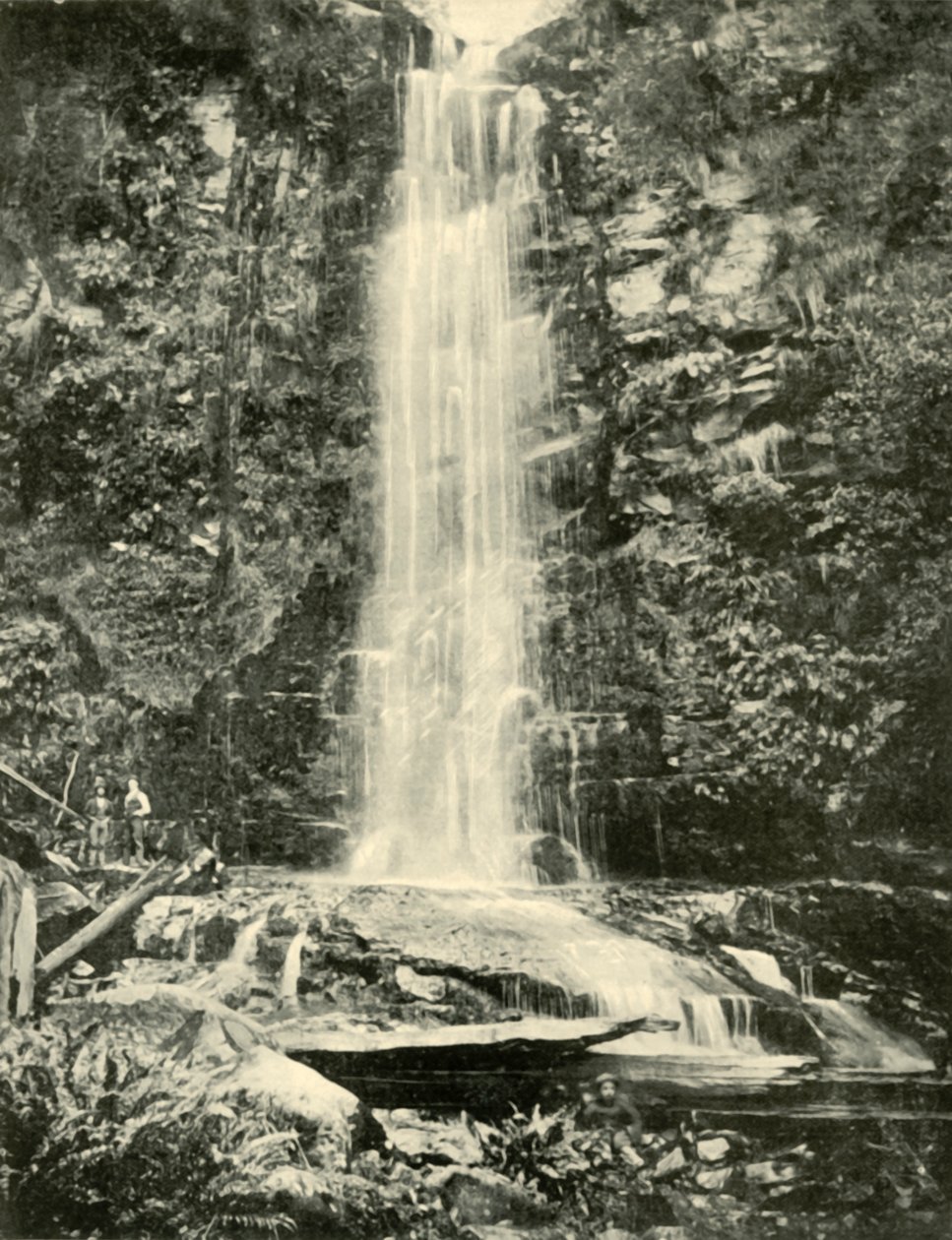 Erskine Falls, nær Lorne, 1901. af Unbekannt