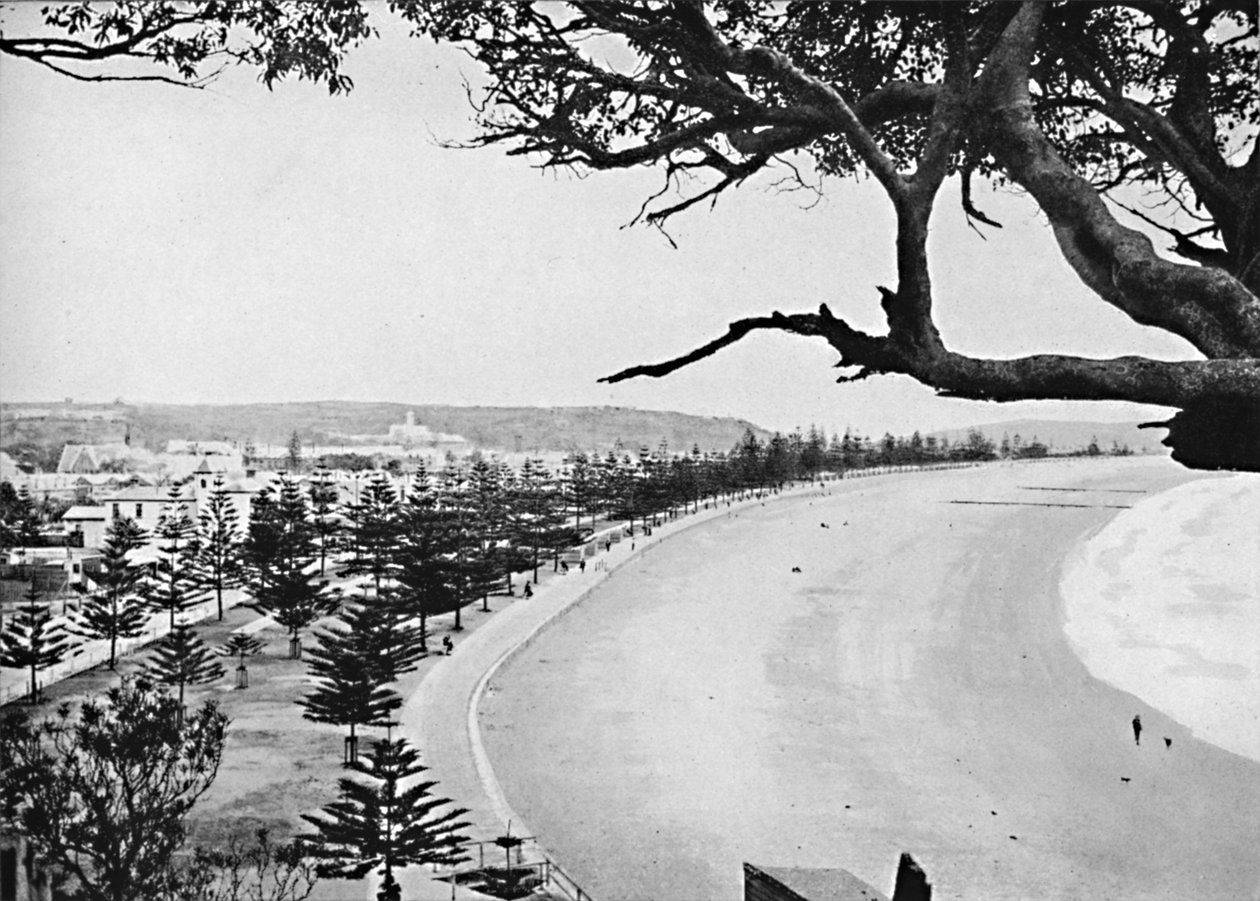 The Esplanade, Manly Beach, c1900. af Unbekannt