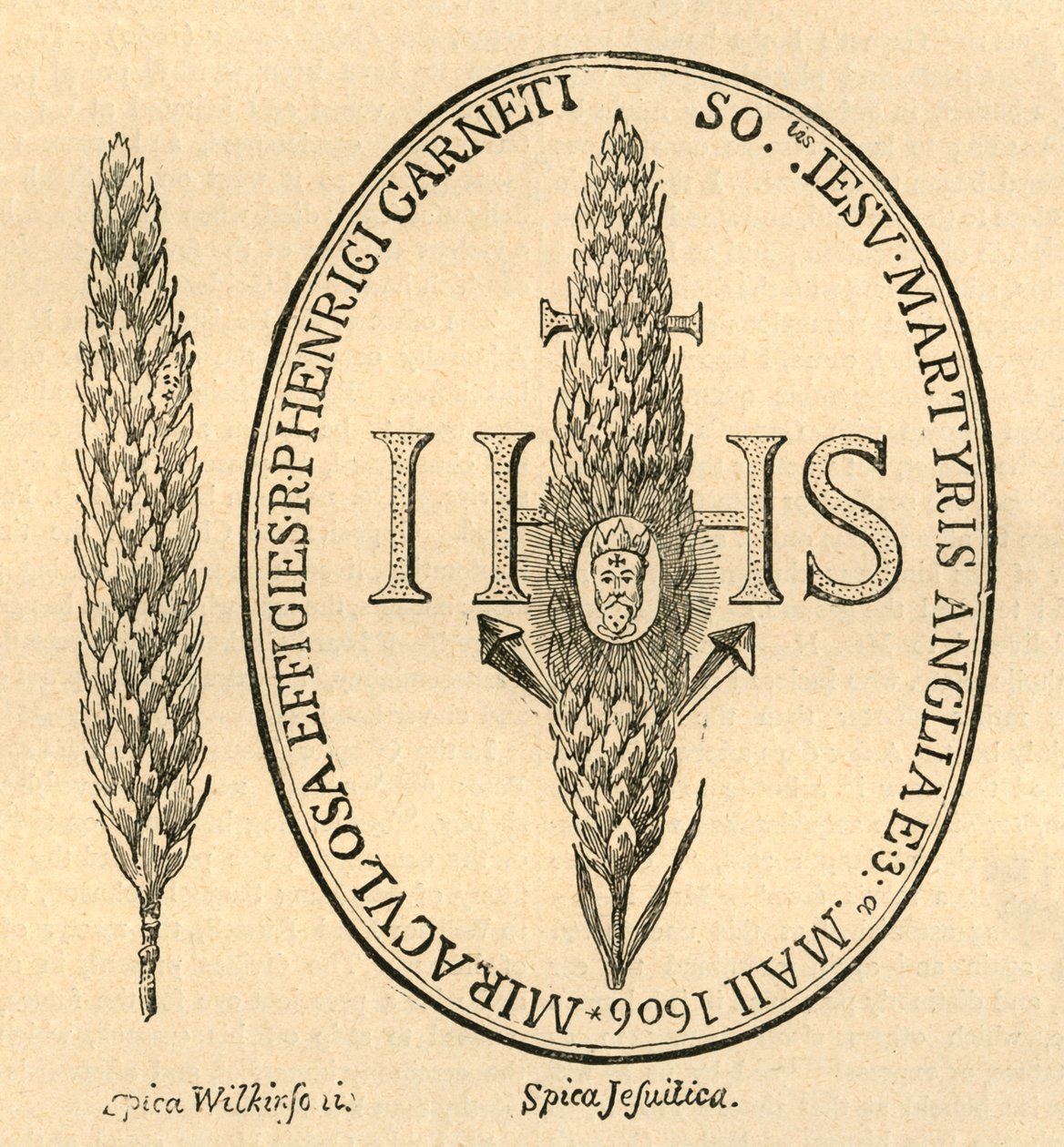 Ansigtet i Halmen. - Fra Abbots Anthologia, 1613, 1897. af Unbekannt
