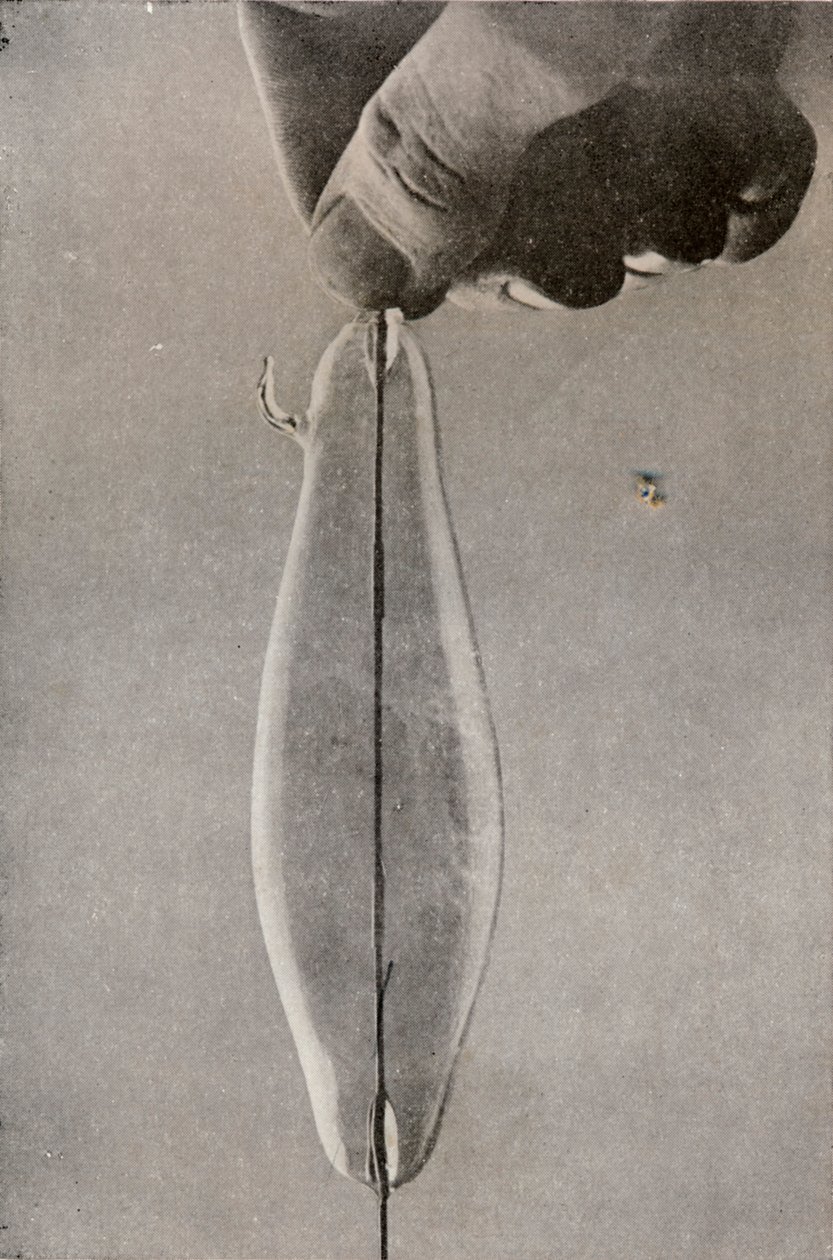 Den første elektriske glødelampe, c1916 af Unbekannt