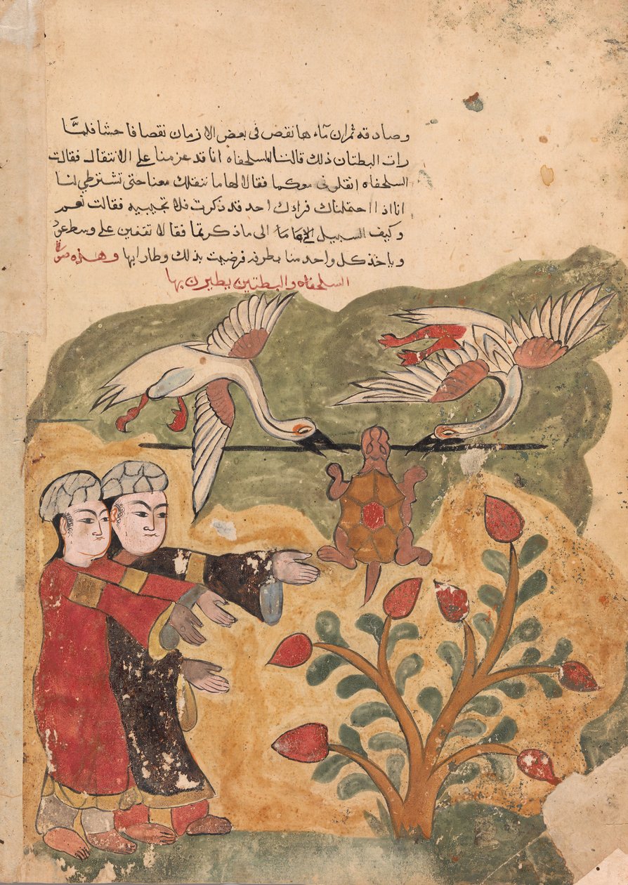Skildpaddens flugt, Folio fra en Kalila wa Dimna, 1700-tallet. af Unbekannt