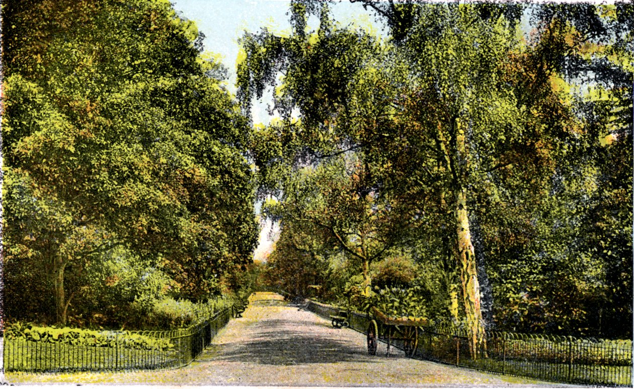 The Flower Walk, Kensington Gardens, London, 20. århundrede af Unbekannt