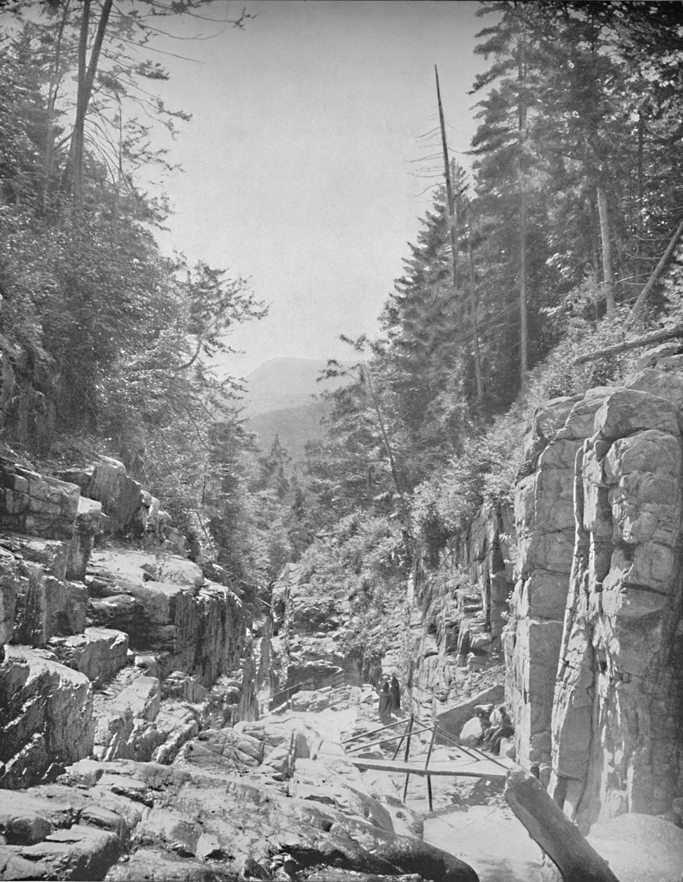 The Flume, Franconia White Mountains, N.H., c1897. af Unbekannt