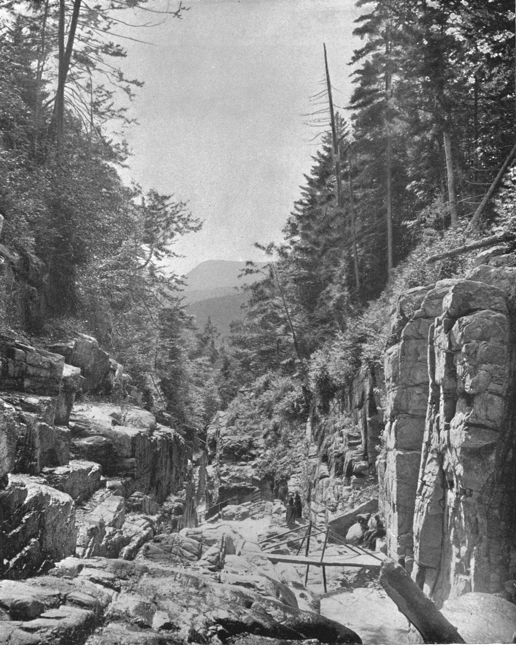 The Flume, Franconia White Mountains, New Hampshire, USA, c1900. af Unbekannt