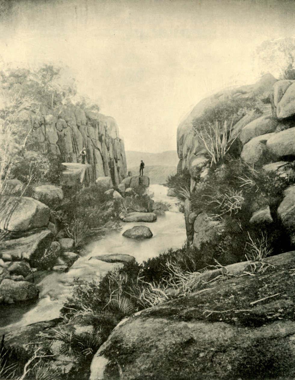 The Gorge, Buffalo Falls, Victorian Alps, 1901. af Unbekannt