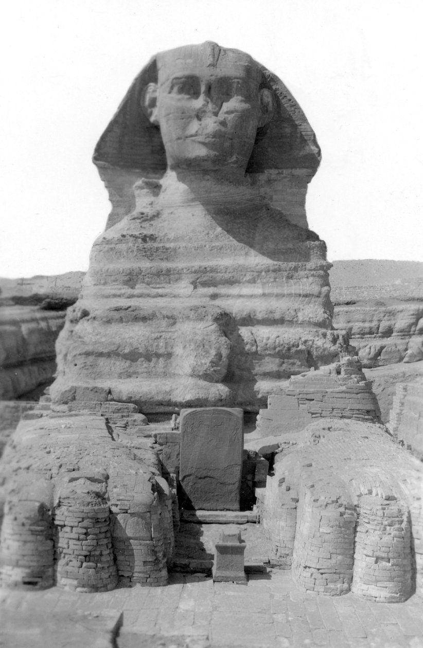 Den store sfinks i Giza, Egypten, maj 1949 af Unbekannt