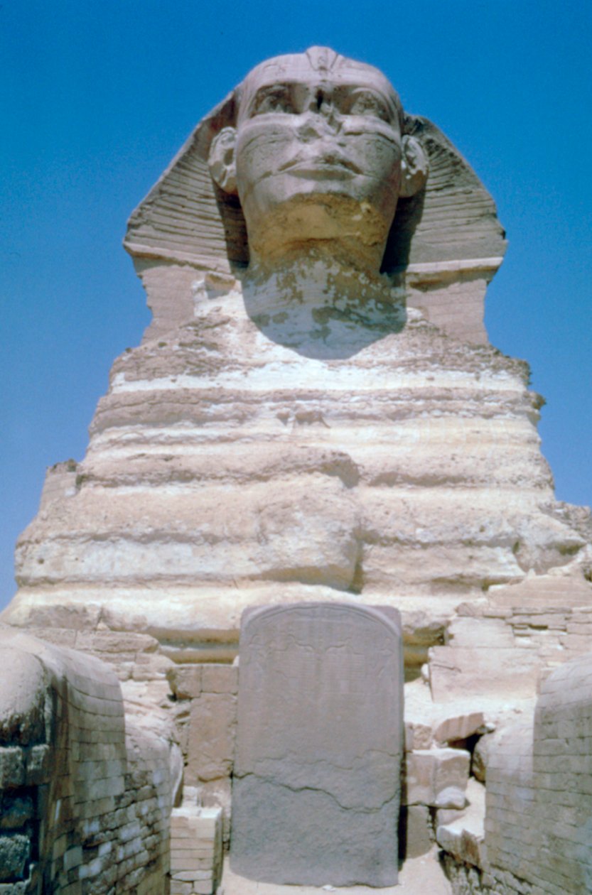 Den store sfinks i Giza, Giza-plateauet, Egypten af Unbekannt