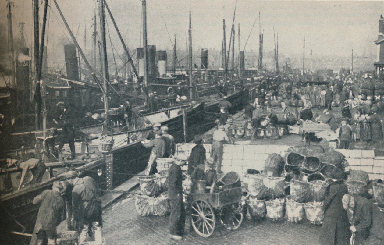 Sildesæsonen i fuld gang, 1937 af Unbekannt
