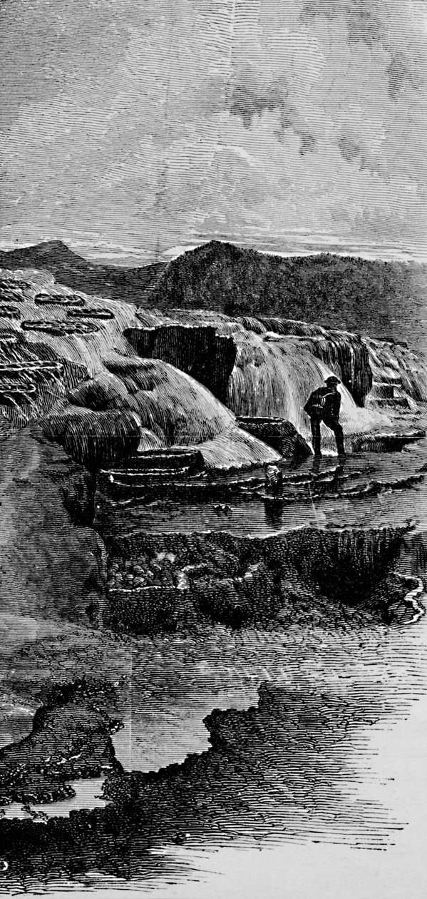 The Hot Springs nær Gardiners River, 1883 af Unbekannt