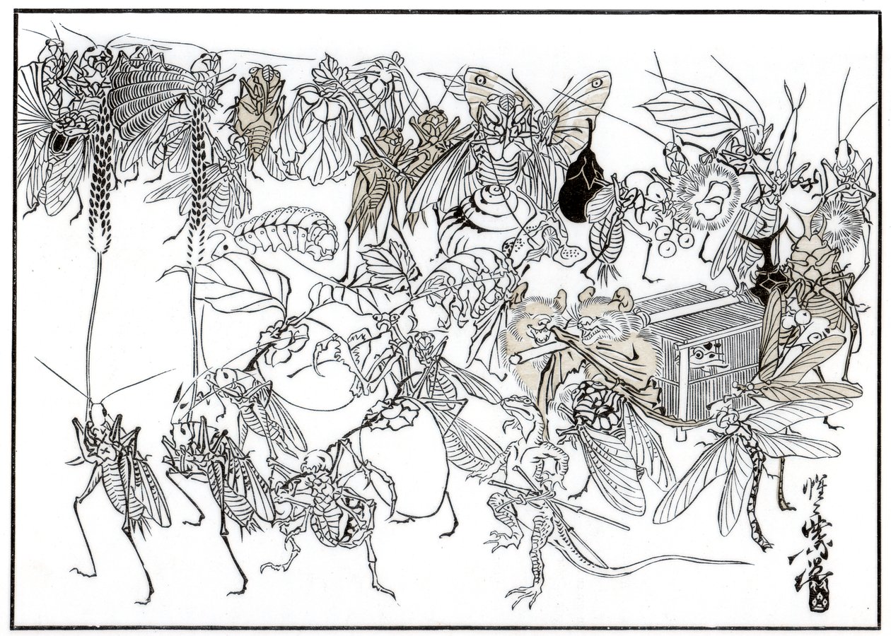 Insektet Daimio Cortege, 1878 1886 af Unbekannt