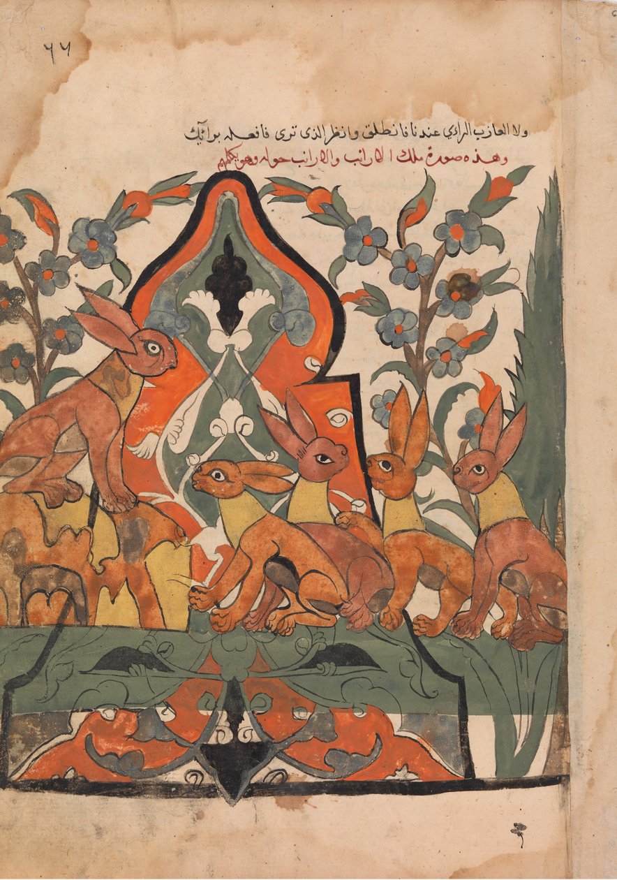 Harernes konge i råd med sine undersåtter, Folio fra en Kalila wa Dimna, 1700-tallet. af Unbekannt