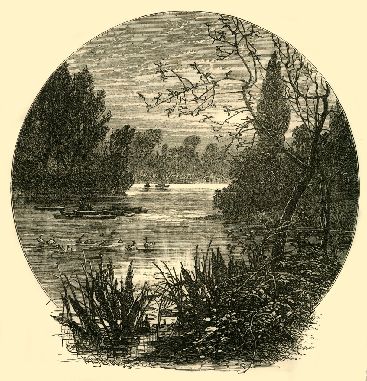 Søen, Battersea Park, c1878. af Unbekannt