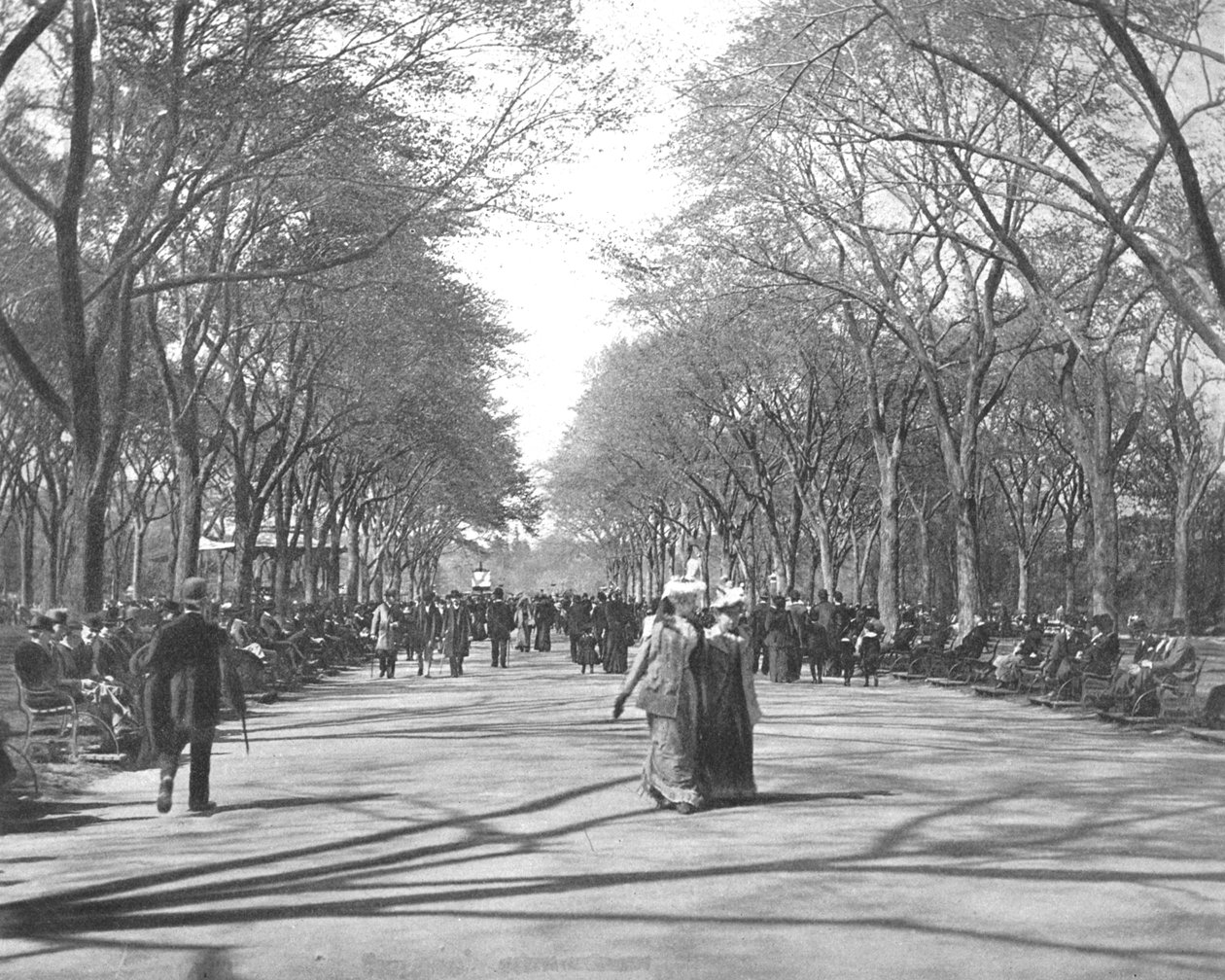 The Mall, Central Park, New York, USA, c1900. af Unbekannt