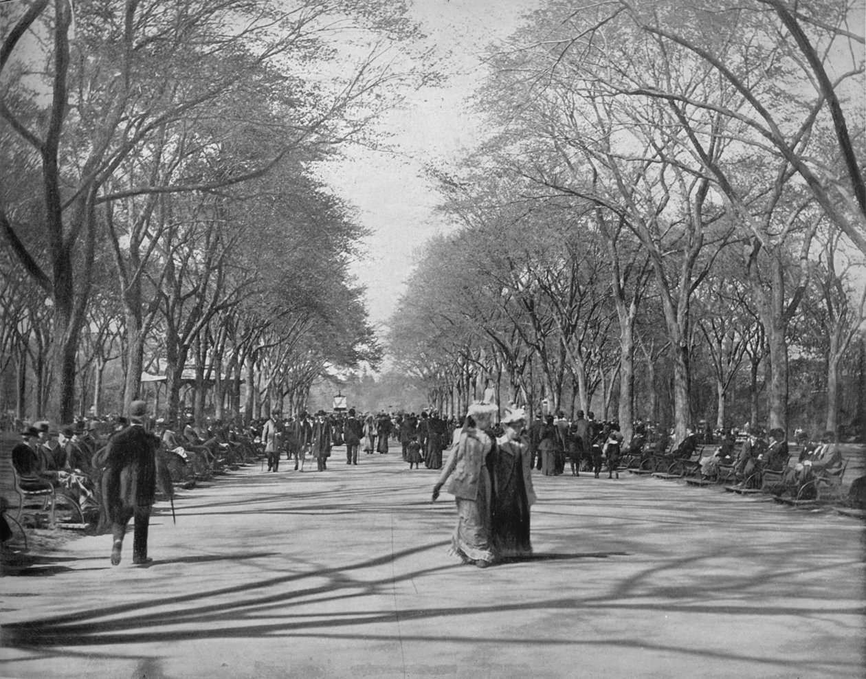 The Mall, Central Park, New York, c1897. af Unbekannt