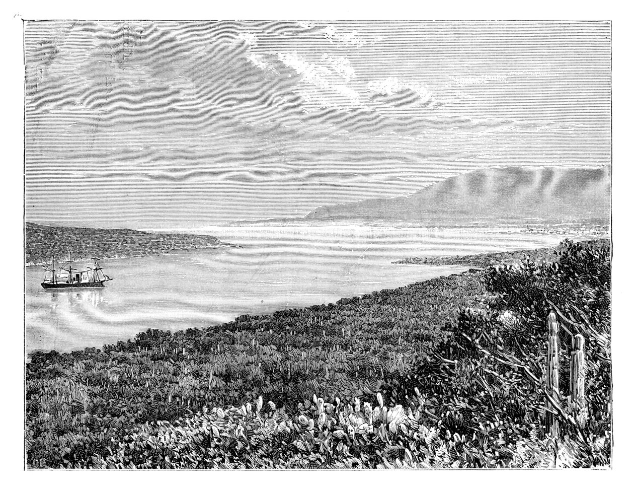 Môle St Nicolas-halvøen, Haiti, c1890 af Unbekannt