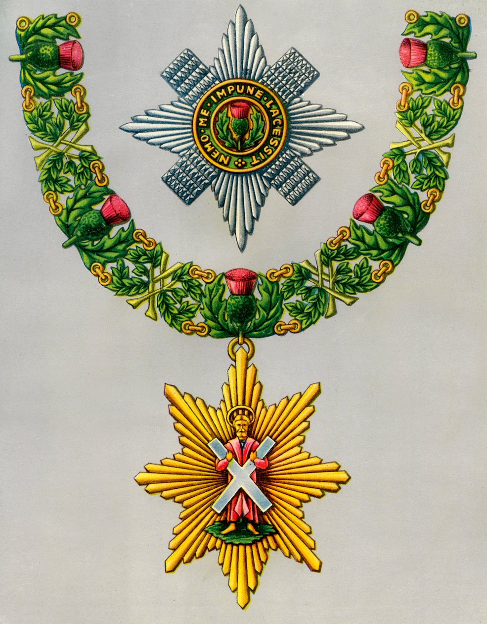 Tidselens ædleste og ældste orden, 1941 af Unbekannt