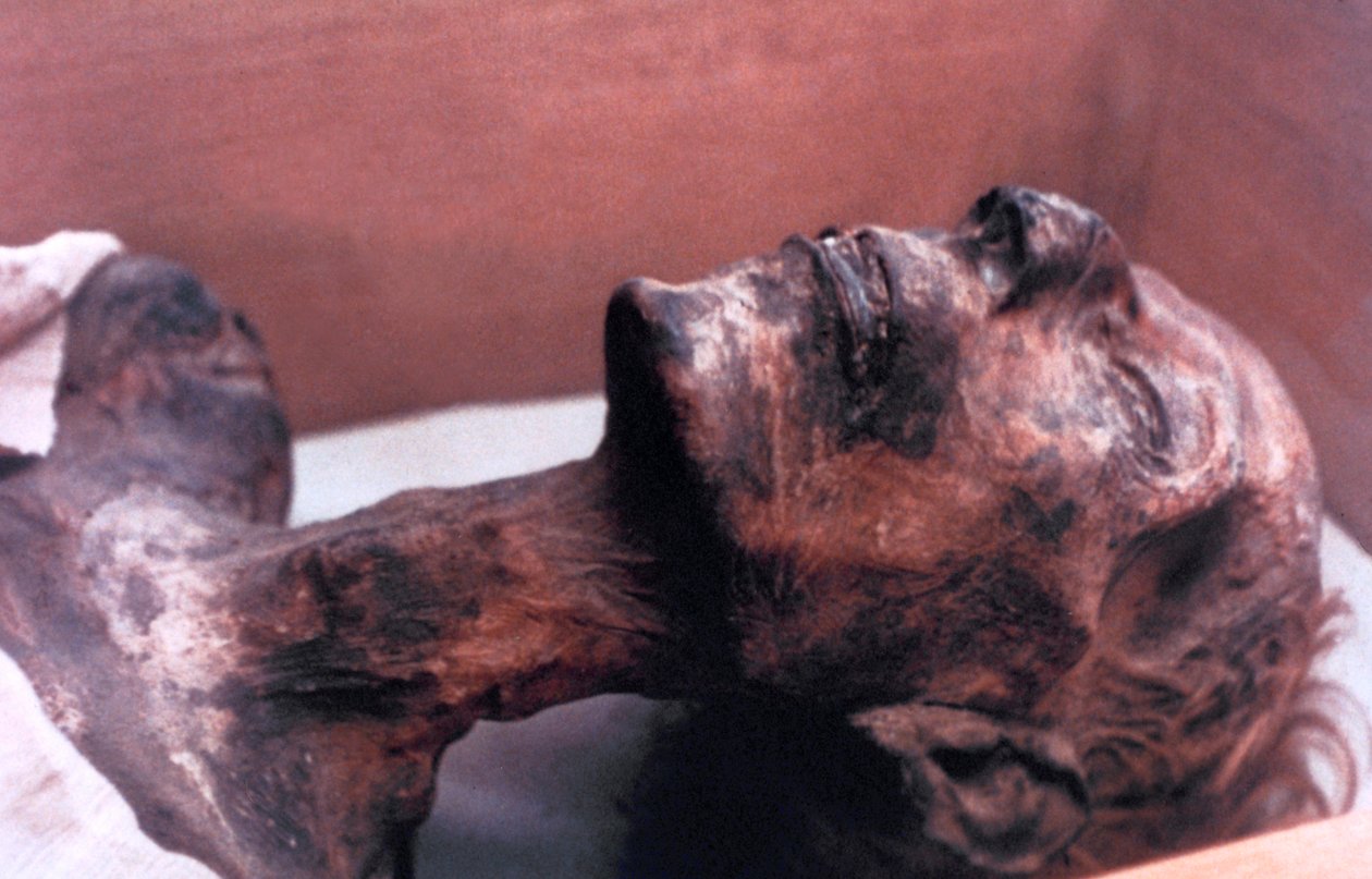 Mumien af Ramses II, Egypten, 1213 f.Kr af Unbekannt