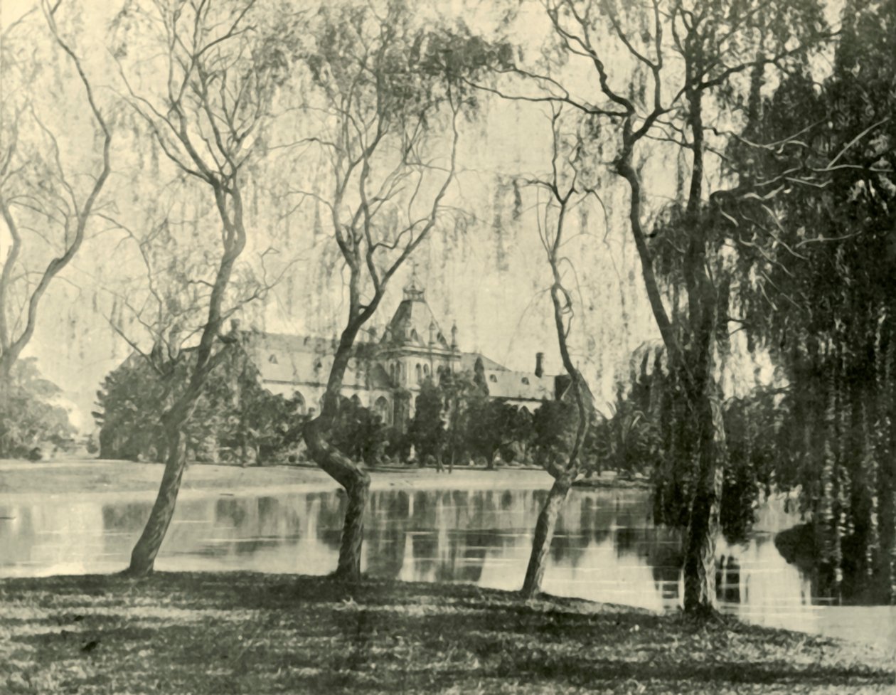 Museet. Melbourne University, 1901. af Unbekannt