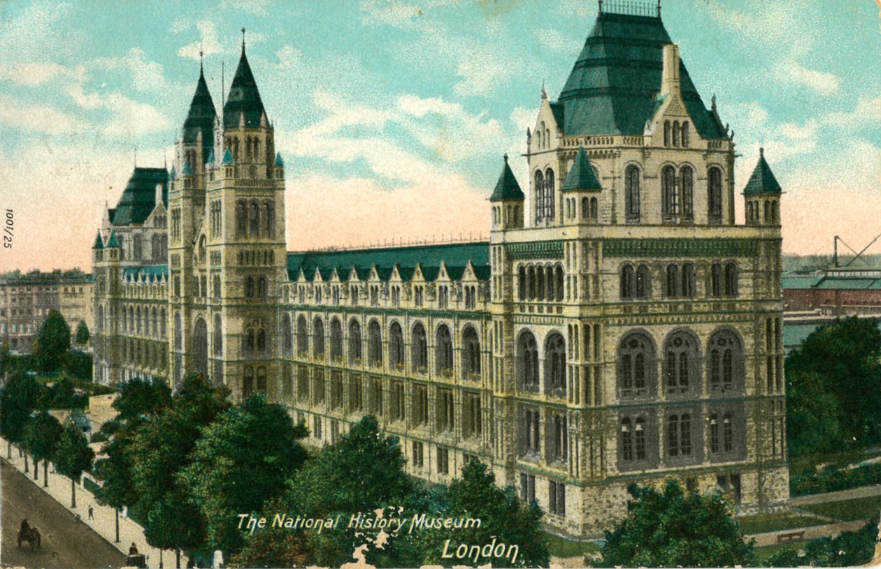 National History Museum, London, c1910. af Unbekannt