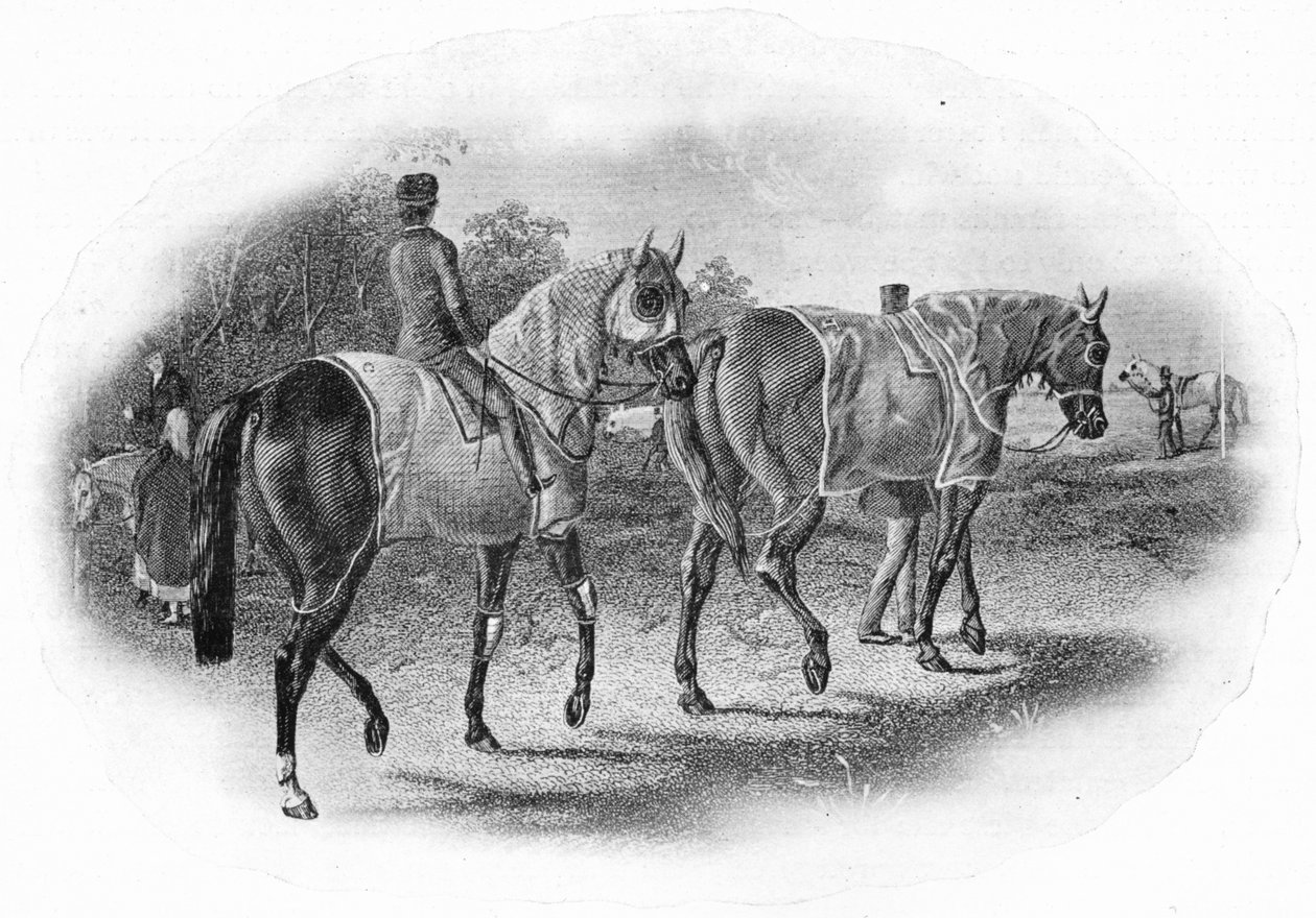 The Next Race, 1800-tallet, 1911 af Unbekannt