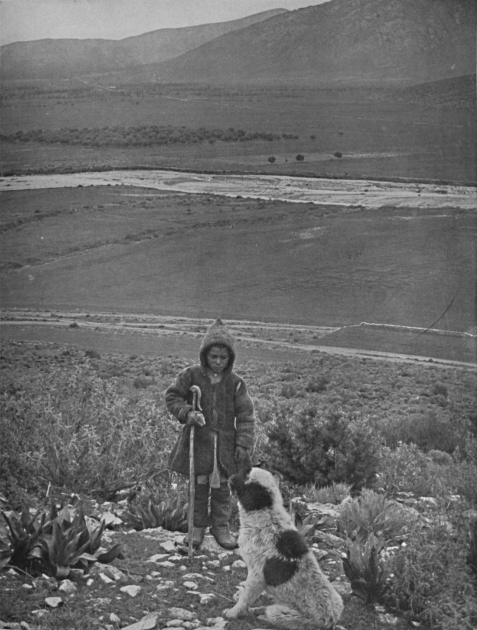 The Plain of Marathon, 1913 af Unbekannt
