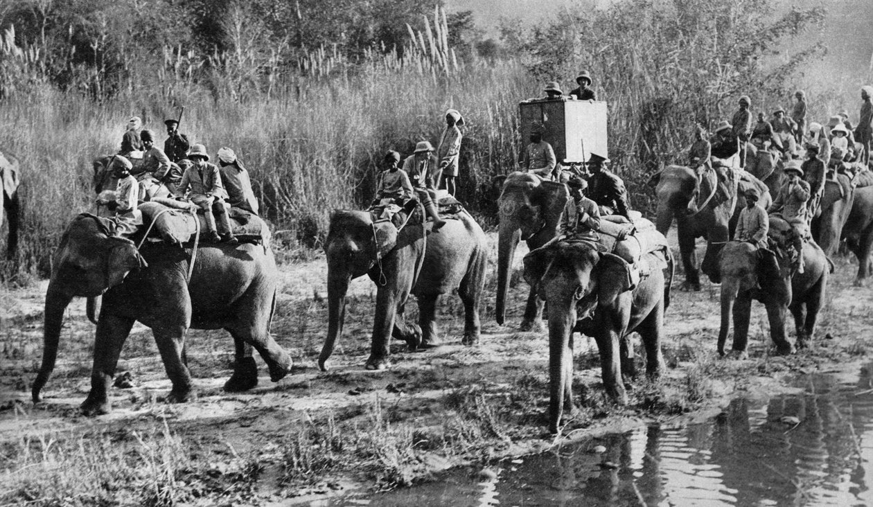 Prinsen af Wales tigerskyderi i Indien, 1921 af Unbekannt