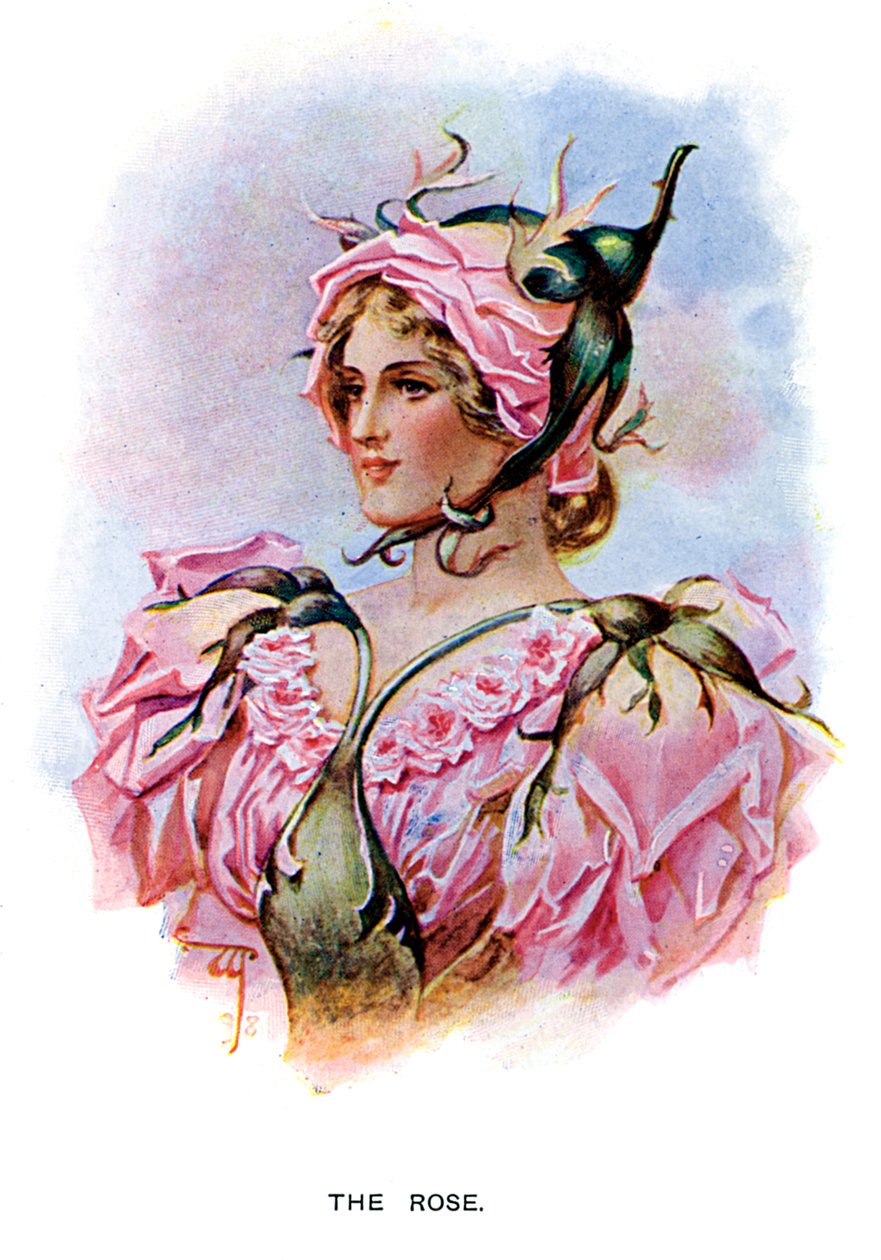 Rosen, 1899 af Unbekannt