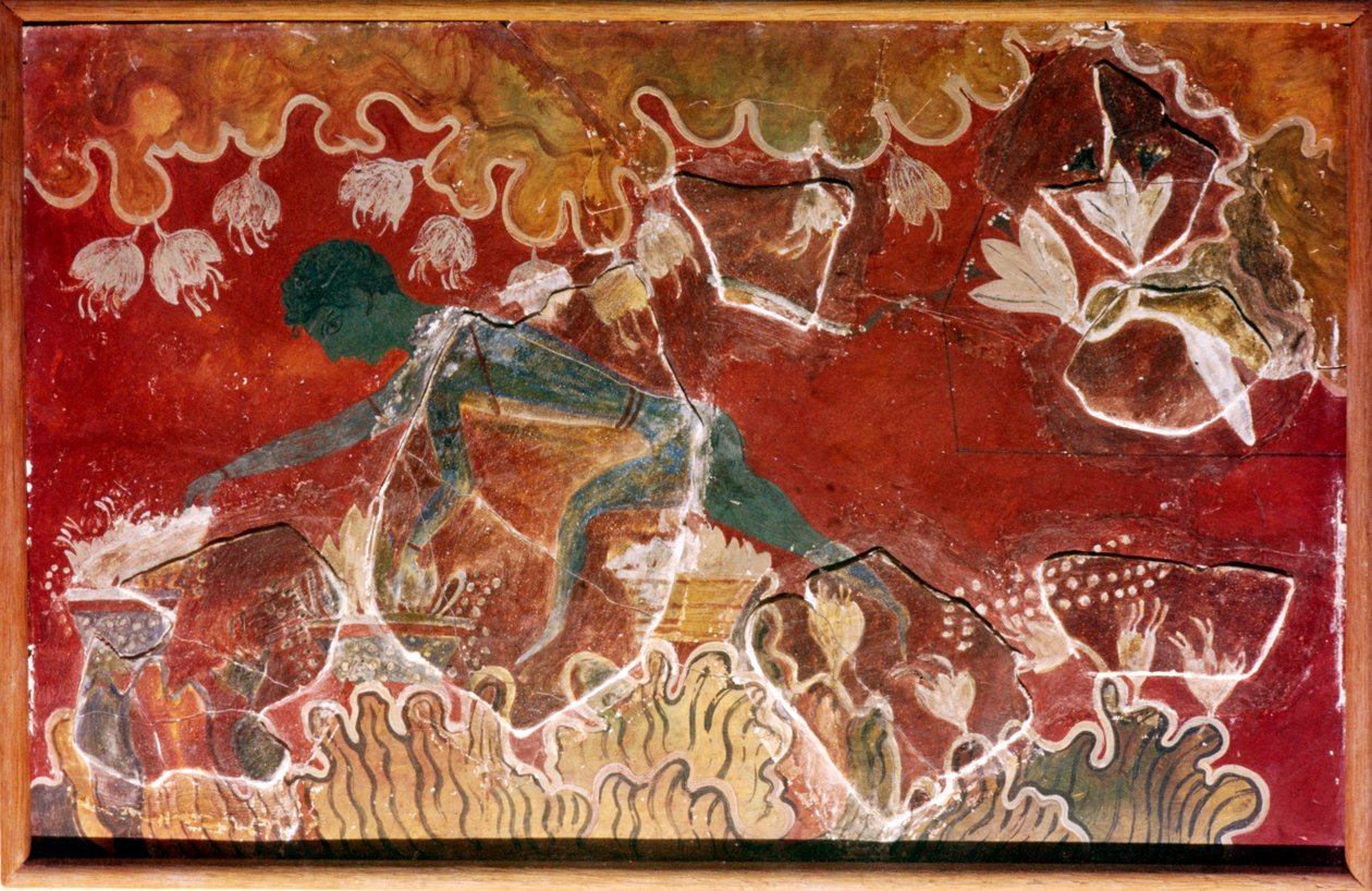 The Saffron-Gatherer Fresco fra Minoan Royal Palace, Knossos, Kreta. c15. århundrede f.Kr af Unbekannt
