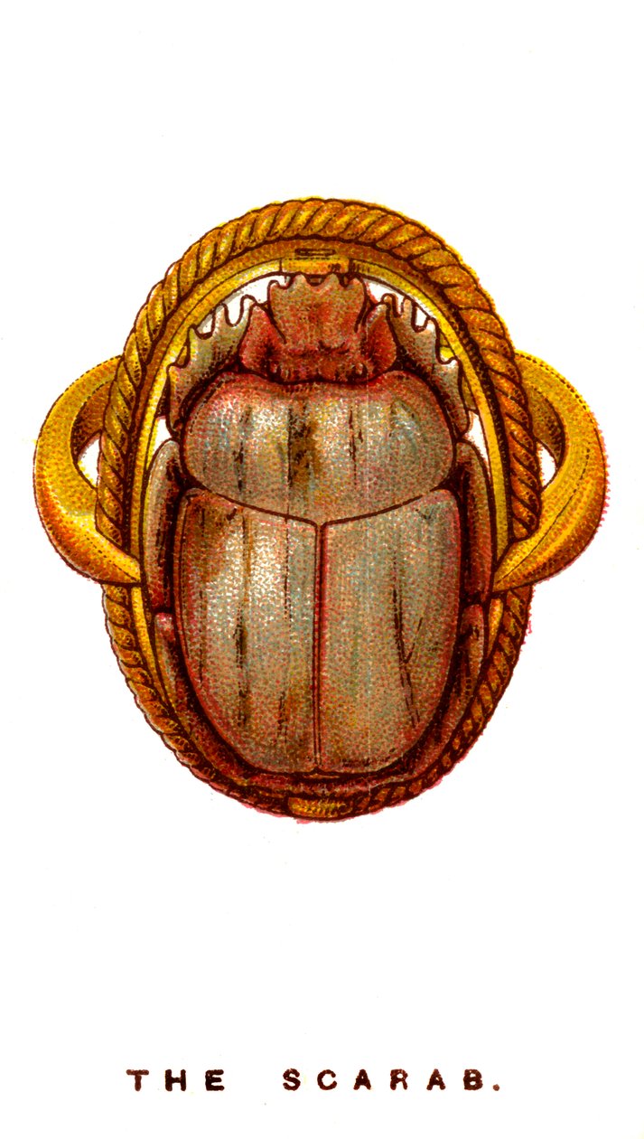 The Scarab, 1923 af Unbekannt