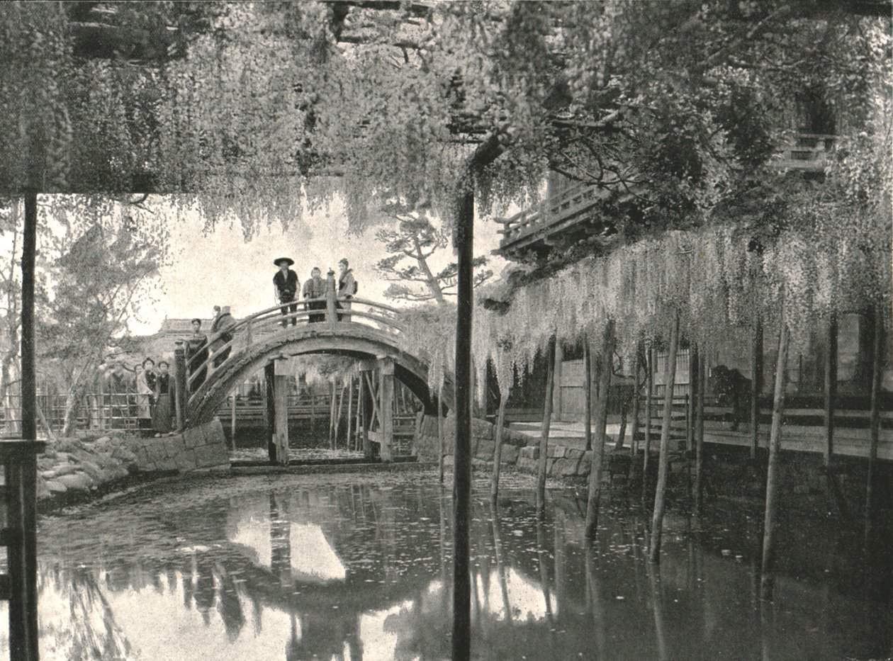 Te New Ginoike Pon d Plan d Wisteria, Kameido, Toi, Japan, 1895. af Unbekannt