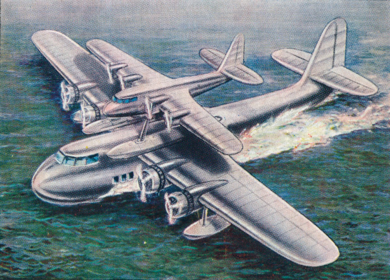 The Short Mayo Composite-fly, 1938. af Unbekannt