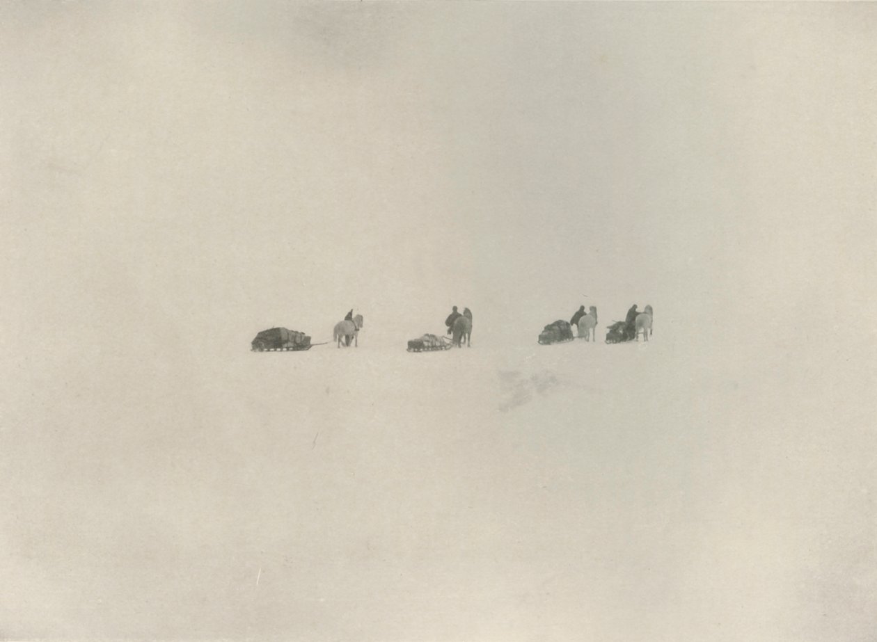 Det sydlige parti marcherer ind i det hvide ukendte, 1908, 1909. af Unbekannt