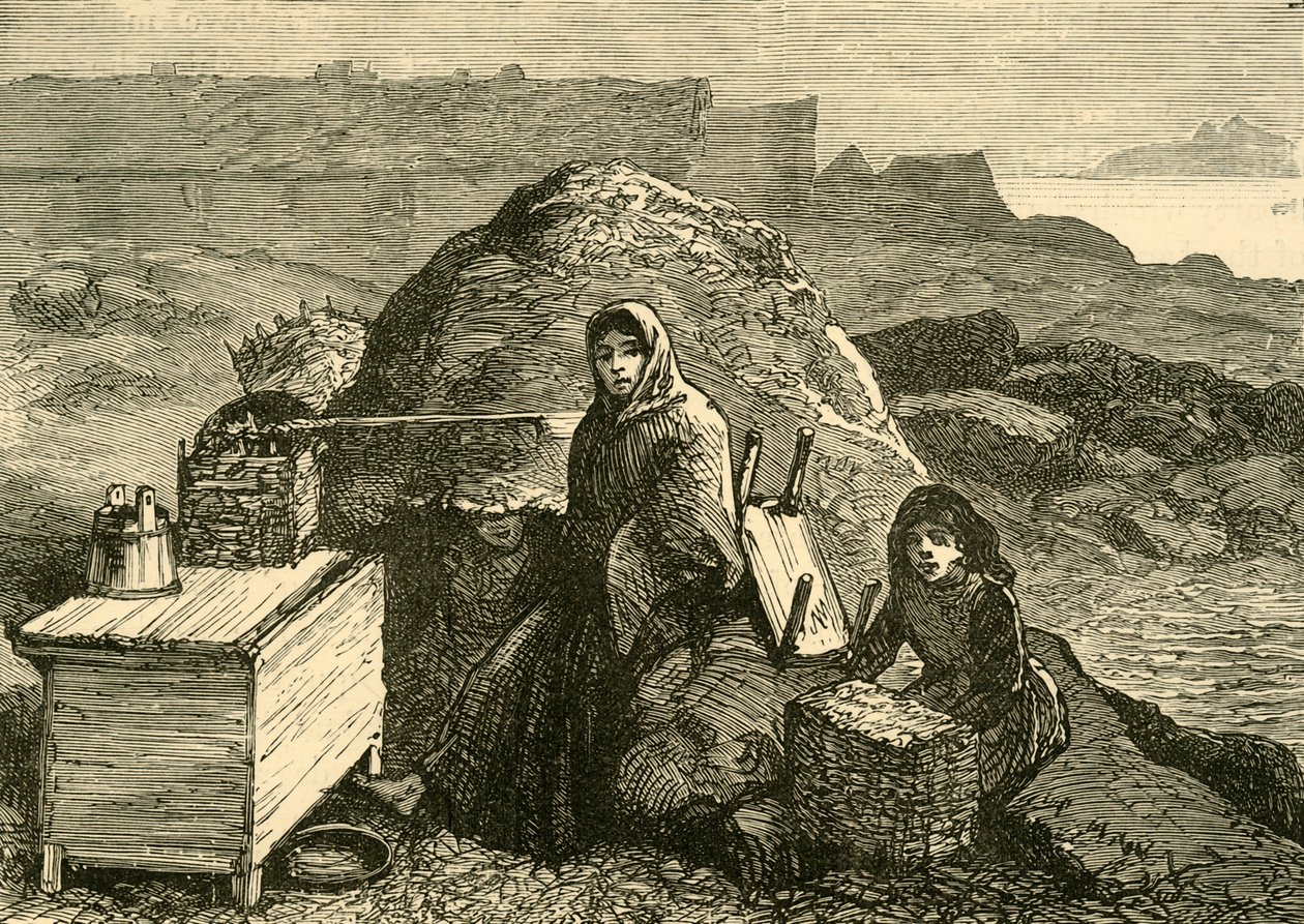 The State of Ireland: An Evicted Family Near Errismore, c1880. af Unbekannt
