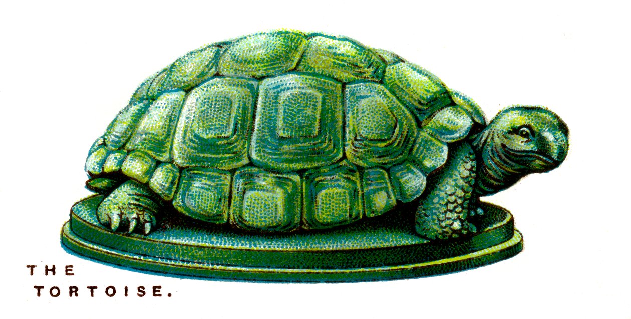 Skildpadden, 1923 af Unbekannt