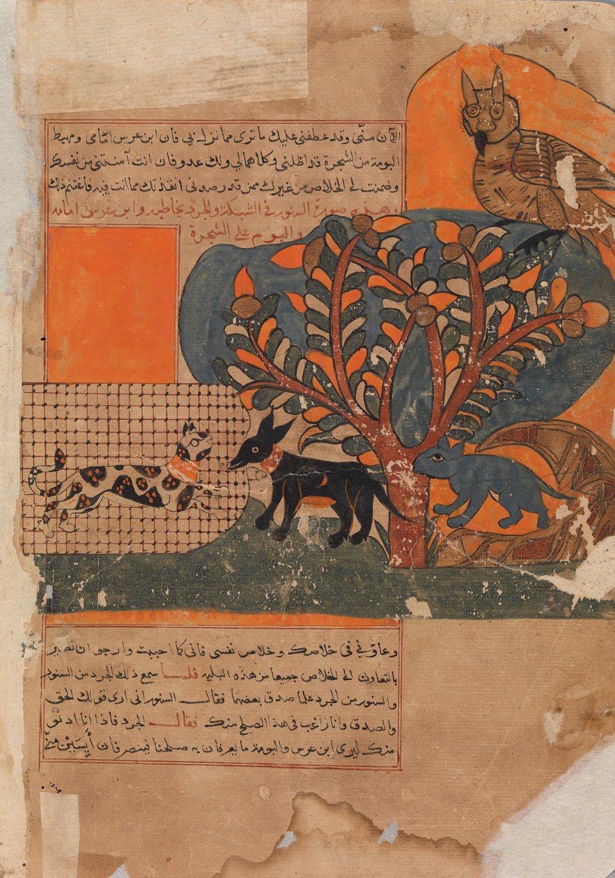 The Trapped Cat and the Frightened Mouse Rat , Folio fra en Kalila wa Dimna, 1700-tallet. af Unbekannt