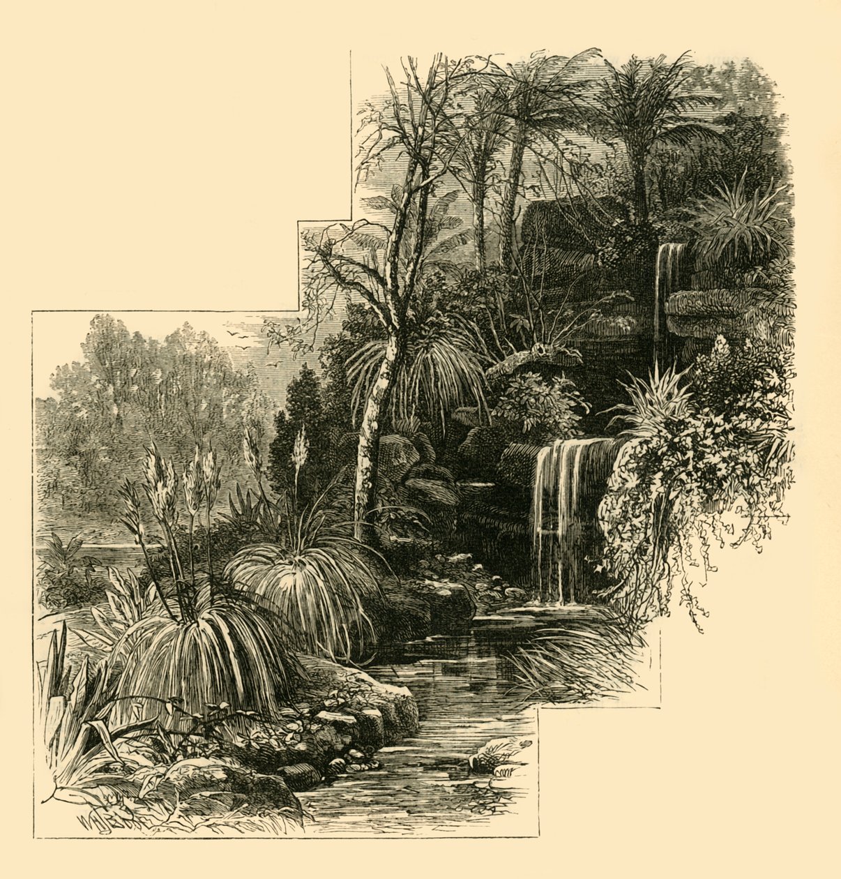 The Tropical Gardens, Battersea Park, c1878. af Unbekannt
