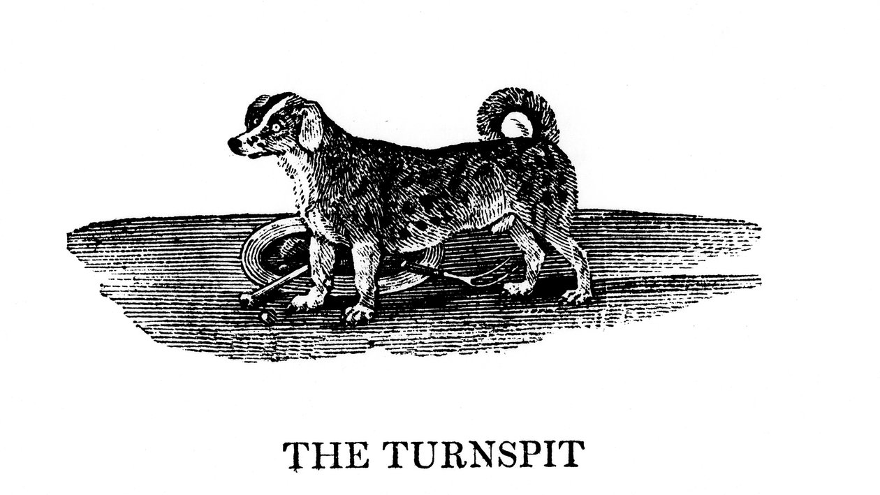 Tunspitten, 1790 af Unbekannt