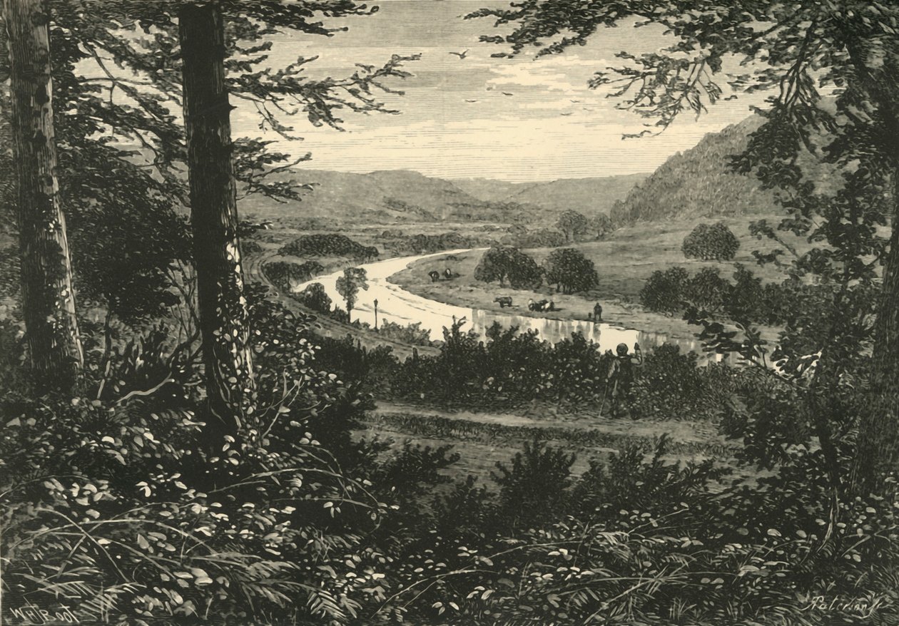 The Vale of Avoca, 1898. af Unbekannt