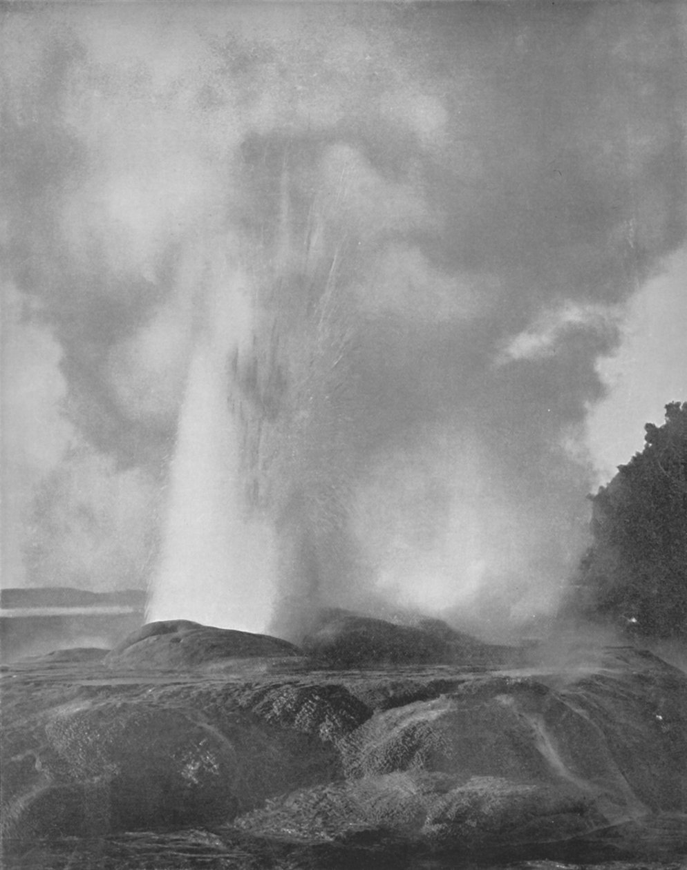Waikite Geyser, 1800-tallet af Unbekannt