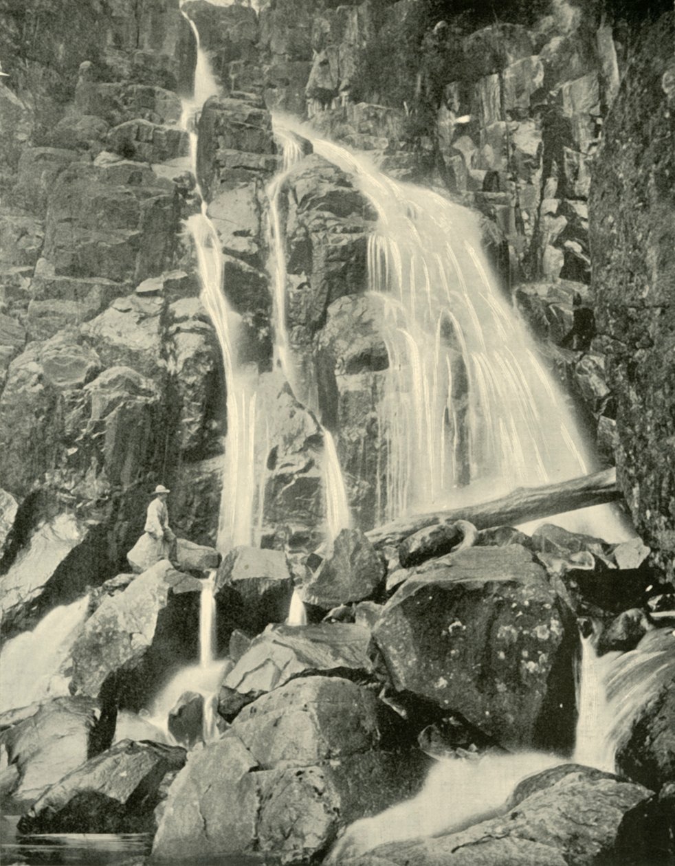 Wellington Falls, Mount Wellington, 1901. af Unbekannt